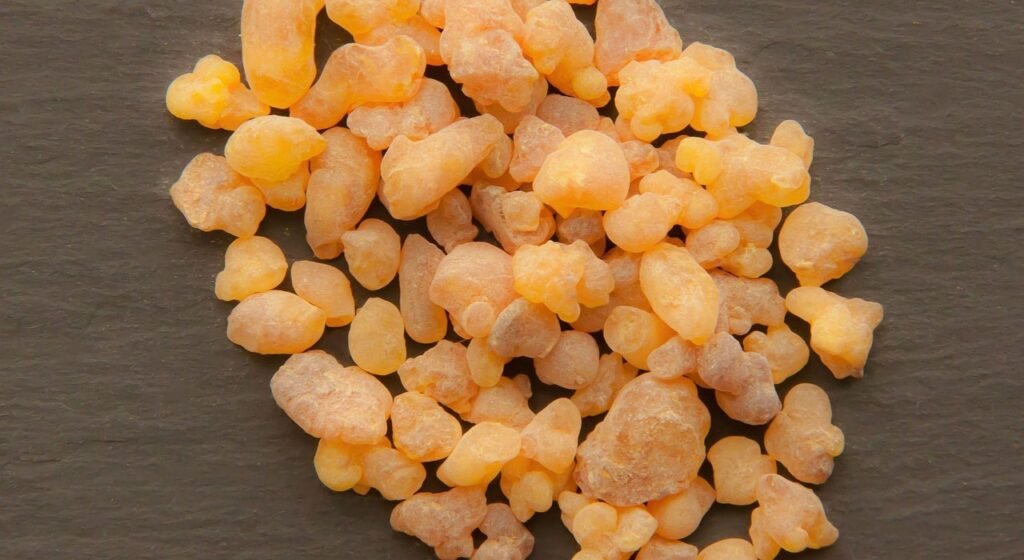 boswellia sacra, oman, frankincense, incense, aromatherapy, essential oil, olibanum, resin, dyi, creating perfume, base note, brown note, frankincense, frankincense, frankincense, frankincense, frankincense