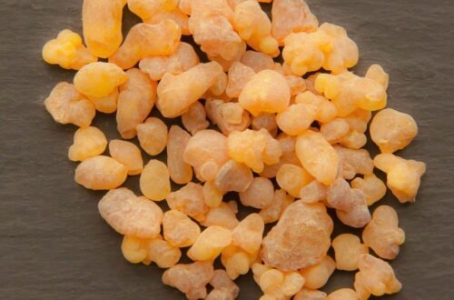 boswellia sacra, oman, frankincense, incense, aromatherapy, essential oil, olibanum, resin, dyi, creating perfume, base note, brown note, frankincense, frankincense, frankincense, frankincense, frankincense
