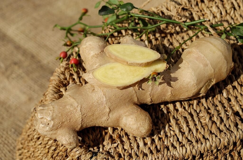 ginger, ingber, immerwurzel, root, sharp, seasoning, food, medicinal plant, healthy, ginger, ginger, ginger, ginger, ginger