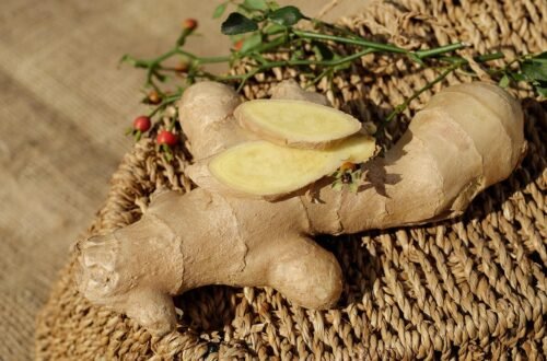 ginger, ingber, immerwurzel, root, sharp, seasoning, food, medicinal plant, healthy, ginger, ginger, ginger, ginger, ginger