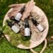 Natural CBD oil bottles with droppers on a wooden board surrounded by moss and leaves.